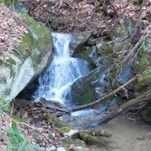 Photo of 47.72 Acres of Riverfront Hunting Land For Sale in Pulaski County VA!