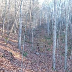 Photo of 47.72 Acres of Riverfront Hunting Land For Sale in Pulaski County VA!