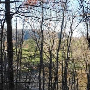 Photo of 47.72 Acres of Riverfront Hunting Land For Sale in Pulaski County VA!
