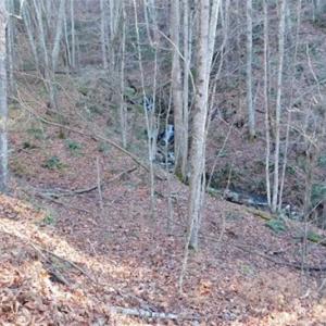 Photo of 47.72 Acres of Riverfront Hunting Land For Sale in Pulaski County VA!