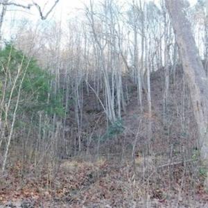 Photo of 47.72 Acres of Riverfront Hunting Land For Sale in Pulaski County VA!
