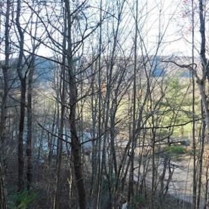 Photo of 47.72 Acres of Riverfront Hunting Land For Sale in Pulaski County VA!