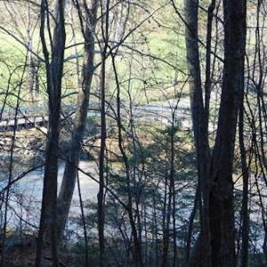 Photo of 47.72 Acres of Riverfront Hunting Land For Sale in Pulaski County VA!