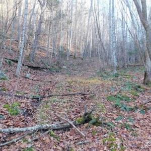 Photo of 47.72 Acres of Riverfront Hunting Land For Sale in Pulaski County VA!