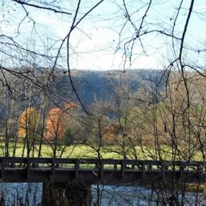 Photo of 47.72 Acres of Riverfront Hunting Land For Sale in Pulaski County VA!
