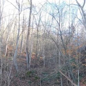 Photo of 47.72 Acres of Riverfront Hunting Land For Sale in Pulaski County VA!