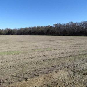 Photo of UNDER CONTRACT!!  119 Acres of Riverfront Land For Sale in Culpeper County VA!