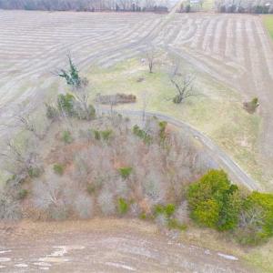 Photo of UNDER CONTRACT!!  119 Acres of Riverfront Land For Sale in Culpeper County VA!