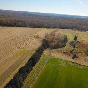 Photo of UNDER CONTRACT!!  119 Acres of Riverfront Land For Sale in Culpeper County VA!
