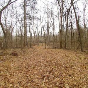 Photo of UNDER CONTRACT!!  119 Acres of Riverfront Land For Sale in Culpeper County VA!