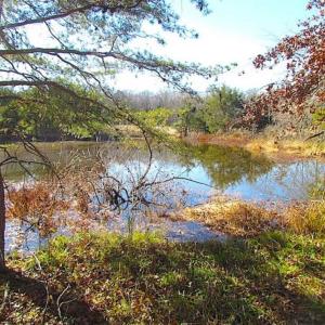 Photo of UNDER CONTRACT!!  119 Acres of Riverfront Land For Sale in Culpeper County VA!