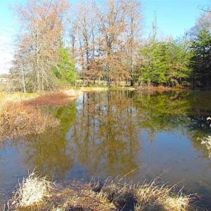Photo of UNDER CONTRACT!!  119 Acres of Riverfront Land For Sale in Culpeper County VA!