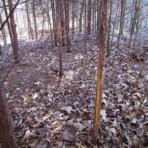 Photo of UNDER CONTRACT!!  119 Acres of Riverfront Land For Sale in Culpeper County VA!