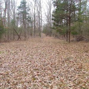 Photo of UNDER CONTRACT!!  119 Acres of Riverfront Land For Sale in Culpeper County VA!