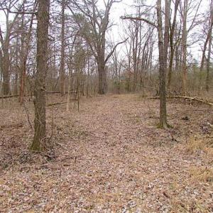 Photo of UNDER CONTRACT!!  119 Acres of Riverfront Land For Sale in Culpeper County VA!