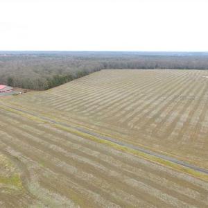 Photo of UNDER CONTRACT!!  119 Acres of Riverfront Land For Sale in Culpeper County VA!