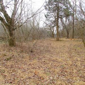 Photo of UNDER CONTRACT!!  119 Acres of Riverfront Land For Sale in Culpeper County VA!