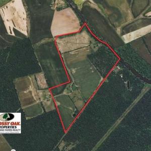 Photo of UNDER CONTRACT!!  119 Acres of Riverfront Land For Sale in Culpeper County VA!