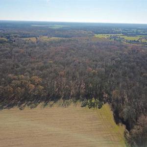 Photo of UNDER CONTRACT!!  99 Acres of Hunting Land For Sale in Culpeper County VA!
