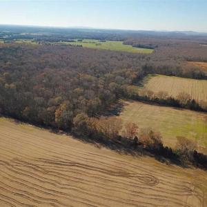 Photo of UNDER CONTRACT!!  99 Acres of Hunting Land For Sale in Culpeper County VA!