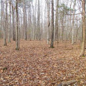 Photo of UNDER CONTRACT!!  99 Acres of Hunting Land For Sale in Culpeper County VA!