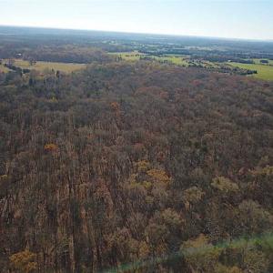Photo of UNDER CONTRACT!!  99 Acres of Hunting Land For Sale in Culpeper County VA!