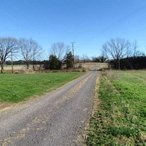 Photo of UNDER CONTRACT!!  99 Acres of Hunting Land For Sale in Culpeper County VA!