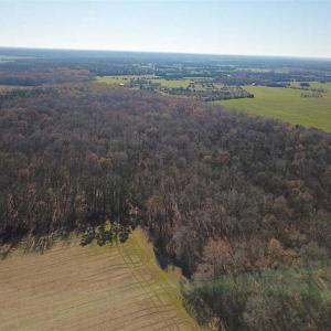 Photo of UNDER CONTRACT!!  99 Acres of Hunting Land For Sale in Culpeper County VA!