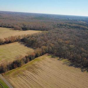 Photo of UNDER CONTRACT!!  99 Acres of Hunting Land For Sale in Culpeper County VA!