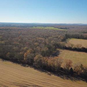Photo of UNDER CONTRACT!!  99 Acres of Hunting Land For Sale in Culpeper County VA!