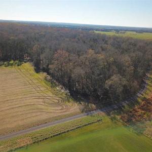 Photo of UNDER CONTRACT!!  99 Acres of Hunting Land For Sale in Culpeper County VA!