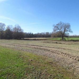 Photo of UNDER CONTRACT!!  99 Acres of Hunting Land For Sale in Culpeper County VA!