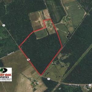 Photo of UNDER CONTRACT!!  99 Acres of Hunting Land For Sale in Culpeper County VA!