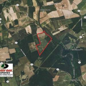 Photo of UNDER CONTRACT!!  99 Acres of Hunting Land For Sale in Culpeper County VA!
