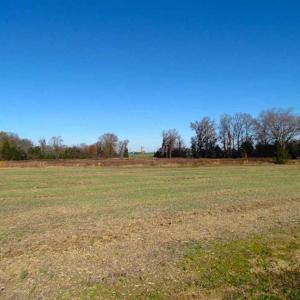 Photo of UNDER CONTRACT!!  99 Acres of Hunting Land For Sale in Culpeper County VA!