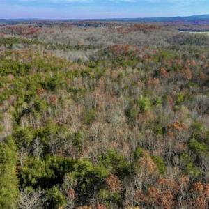 Photo of 48.679 Acres of Hunting / Recreation Land For Sale in Amherst County VA!