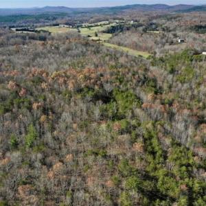 Photo of 48.679 Acres of Hunting / Recreation Land For Sale in Amherst County VA!