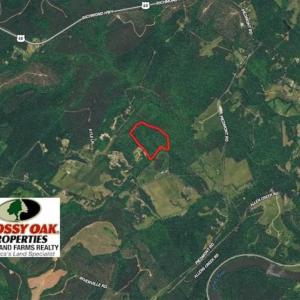 Photo of 48.679 Acres of Hunting / Recreation Land For Sale in Amherst County VA!