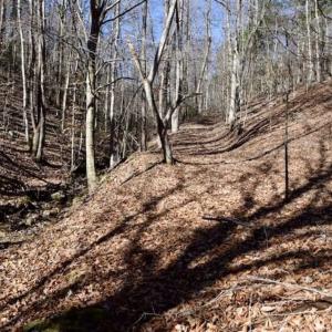 Photo of 48.679 Acres of Hunting / Recreation Land For Sale in Amherst County VA!