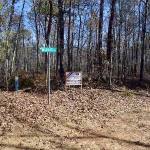 Photo of 48.679 Acres of Hunting / Recreation Land For Sale in Amherst County VA!
