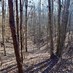 Photo of 48.679 Acres of Hunting / Recreation Land For Sale in Amherst County VA!
