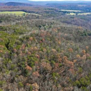 Photo of 48.679 Acres of Hunting / Recreation Land For Sale in Amherst County VA!
