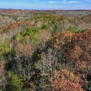 Photo of 48.679 Acres of Hunting / Recreation Land For Sale in Amherst County VA!