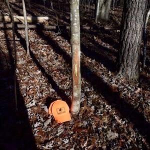 Photo of 48.679 Acres of Hunting / Recreation Land For Sale in Amherst County VA!