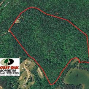 Photo of 48.679 Acres of Hunting / Recreation Land For Sale in Amherst County VA!