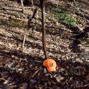 Photo of 48.679 Acres of Hunting / Recreation Land For Sale in Amherst County VA!