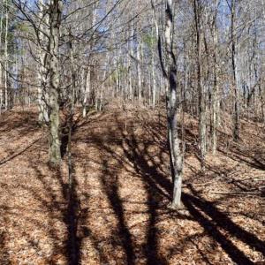 Photo of 48.679 Acres of Hunting / Recreation Land For Sale in Amherst County VA!