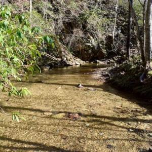 Photo of 48.679 Acres of Hunting / Recreation Land For Sale in Amherst County VA!