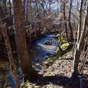 Photo of 48.679 Acres of Hunting / Recreation Land For Sale in Amherst County VA!