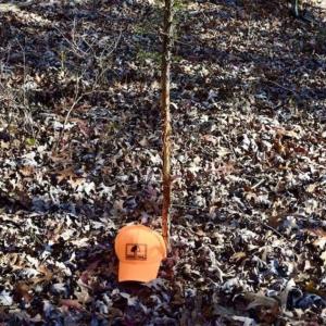 Photo of 48.679 Acres of Hunting / Recreation Land For Sale in Amherst County VA!